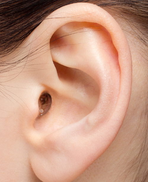 earsers in ear