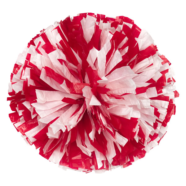 Wet Look Show Lite Poms Two Color Mixed