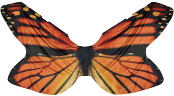 Digital Butterfly Wings Orange
