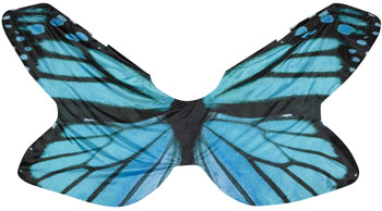 Digital Butterfly Wings Blue