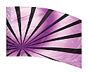 Colorway BURST F1 Purple Color Guard Flag